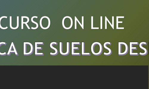 miniatura del curso